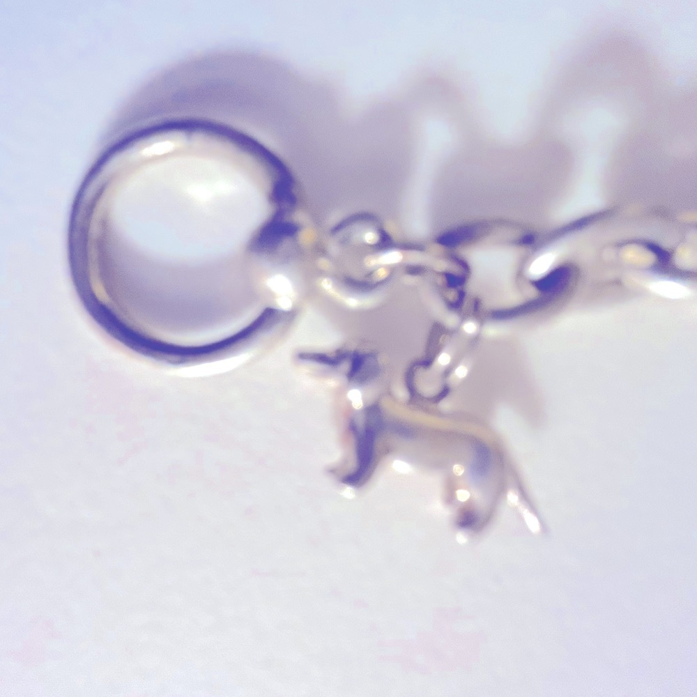 💰FREE add 1 to bundle Dachshund Bracelet Dog Charm & links 7.78” bracelet toggle - Picture 3 of 6